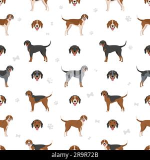 American foxhound all colours clipart. Different coat colors set ...