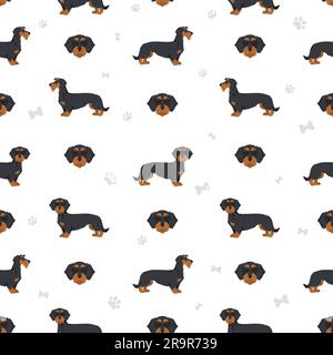 Dachshund wire haired seamless pattern. Different poses, coat colors set.  Vector illustration Stock Vector