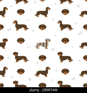 Dachshund wire haired seamless pattern. Different poses, coat colors set.  Vector illustration Stock Vector