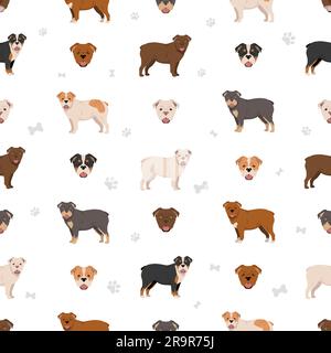 Australian bulldog seamless pattern. All coat colors set.  All dog breeds characteristics infographic. Vector illustration Stock Vector