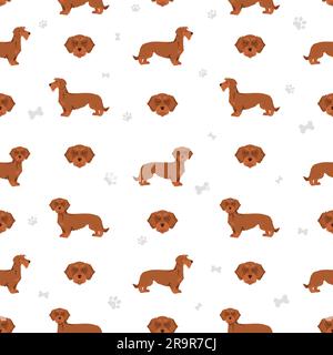 Dachshund wire haired seamless pattern. Different poses, coat colors set.  Vector illustration Stock Vector