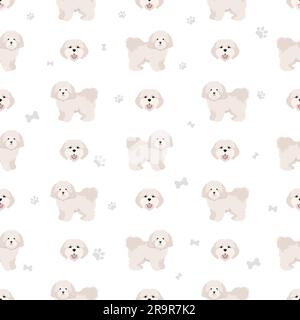 Coton de Tulear seamless pattern. Different poses, coat colors set.  Vector illustration Stock Vector