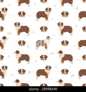Miniature american shepherd seamless pattern. Different poses, coat colors set.  Vector illustration Stock Vector