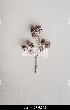 Decorative golden twig with pine cones on light concrete background , top view Stock Photo