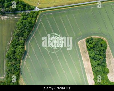 A crop circle, crop formation, or corn circle is a pattern created by flattening a crop.  Owslebury, Hampshire. Stock Photo