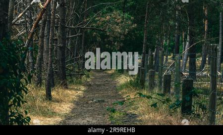 A mysterious and empty pathway veiled in darkness runs alongside a barbed wire fence Stock Photo