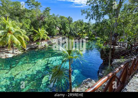 Mexico tourism destination, caves and pools of Cenote Casa Tortuga near Tulum and Playa Del Carmen. Stock Photo