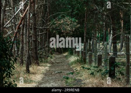 A mysterious and empty pathway veiled in darkness runs alongside a barbed wire fence Stock Photo