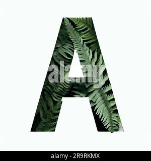 capital letter A in fern on a white canvas Stock Vector