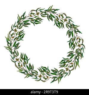 Watercolor wreath of olive branches with fruits. Hand painted floral circle border with olive fruit and tree branches isolated on white background. Fo Stock Photo