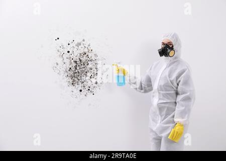 Woman in protective suit and rubber gloves using mold remover on wall Stock Photo