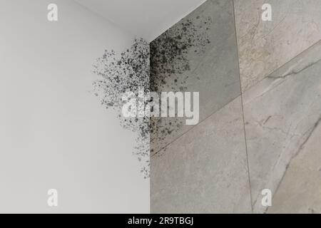 Grey wall affected with mold. White rack with towels and personal care ...