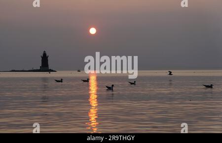 Silhouette of the lighthouse and wild birds during the sunset at Cape Henlopen State Park, Lewes, Delaware, U.S Stock Photo