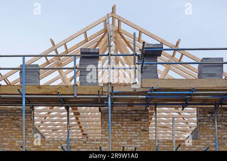 Factory prefabricated timber roof trusses on detached house building construction site in position scaffold loaded blocks gable end wall England UK Stock Photo