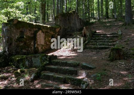 Remains of the first world war: an old, forgotten German cemetery in a forest in the French Vosges, stones overgrown with moss Stock Photo