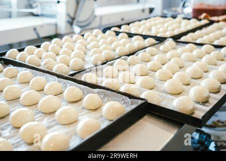 unbaked buns production of traditional sicilian food in an industrial bakery. Stock Photo