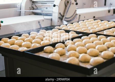 unbaked buns production of traditional sicilian food in an industrial bakery. Stock Photo