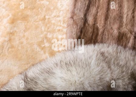 Blond sheepskin, blue fox and red sable mink furs Stock Photo