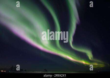 Northern Lights (Aurora borealis) in green and pink over the bird cliff of Bleik, Andoya, Vesteralen, Norway Stock Photo