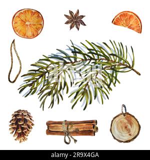 Set of watercolor oranges on a branch isolated on white background ...