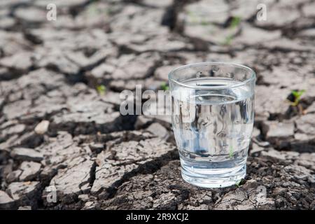 A full glass of water stands on dry ground. Are we about to face a serious drinking water problem? Due to the climate, the dry periods in Europe and G Stock Photo