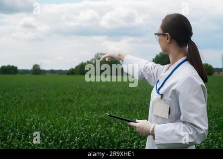 Agronomist using tablet and technology in agricultural corn field. The farmer walks through the field with a tablet. Biologist woman with laptop Stock Photo