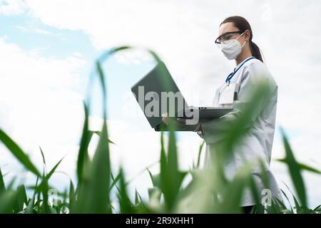Agronomist using tablet and technology in agricultural corn field. The farmer walks through the field with a tablet. Biologist woman with laptop Stock Photo