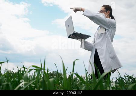 Agronomist using tablet and technology in agricultural corn field. The farmer walks through the field with a tablet. Biologist woman with laptop Stock Photo