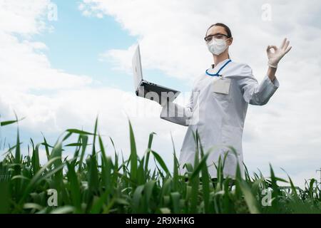 Agronomist using tablet and technology in agricultural corn field. The farmer walks through the field with a tablet. Biologist woman with laptop Stock Photo