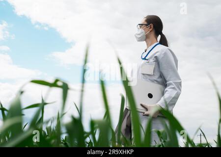 Agronomist using tablet and technology in agricultural corn field. The farmer walks through the field with a tablet. Biologist woman with laptop Stock Photo