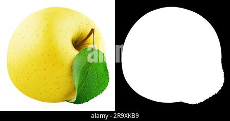 Single yellow apple fruit with green leaf isolated on white background with clipping mask (alpha channel) for quick isolation. Stock Photo