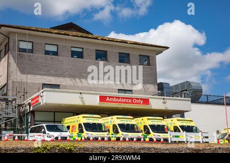 Truro, UK. 29th June, 2023. Ambulances wait outside A & E at The Royal Cornwall Hospital in Treliske, Truro on a sunny Day. Patients are having to wait their turn which can be many hours to be taken in to A&E to be seen. Credit: Keith Larby/Alamy Live News Stock Photo