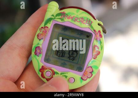 Photo depicting a tamagotchi device, green with tropical flowers, held in someone's hand. The screen depicts two tamagotchi characters interacting. Stock Photo