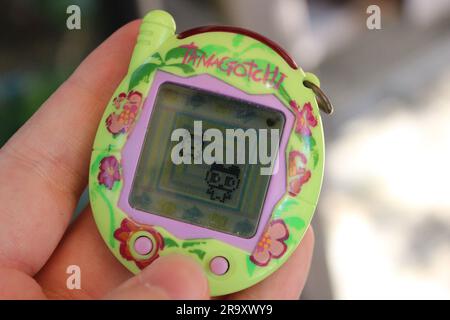 Photo depicting a tamagotchi device, green with tropical flowers, held in someone's hand. The screen depicts two tamagotchi characters interacting. Stock Photo