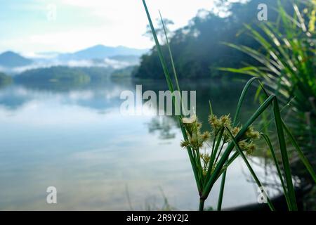 Kuala Lumpur- Malaysia- View of the Genting Highlands from the Klang Gates Dam in Melawati Stock Photo