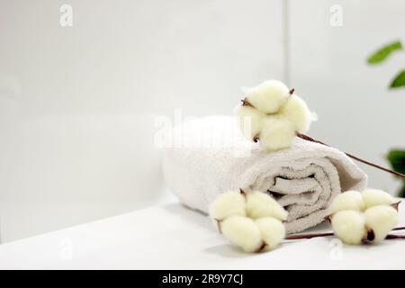 Branch with white cotton flowers on white background. Natural organic fiber, agriculture, cotton flower, raw materials for making fabric. Stock Photo