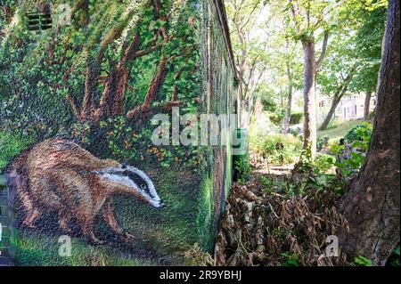 Artwork of badger in woodland scene on electricity substation wall in woodland area of St Annes,UK Stock Photo