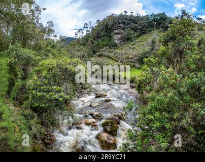 Stream runs in the hills of Eastern Andes Mountains. Colombia, South America. Stock Photo