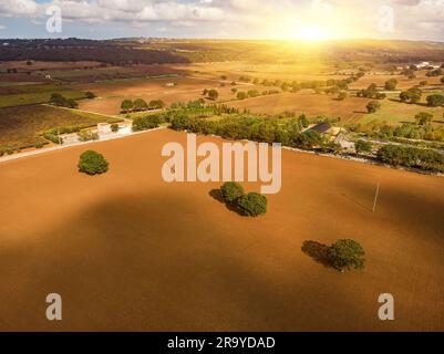 Drone photography of agricultural fields, vineyards and olive trees during summer day Stock Photo