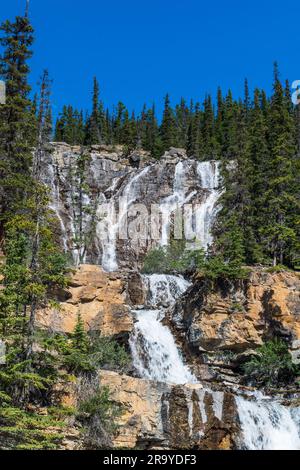 Beautiful Tangle Falls flows along Icefields Parkway in Jasper National Park, Canada Stock Photo