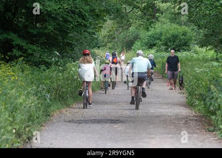 People families walking and cycling on a track through woodland at Great Bookham Common, Surrey, England, UK, on a summer day Stock Photo