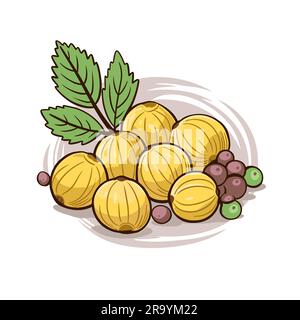 Amla. Amla hand-drawn illustration. Vector doodle style cartoon illustration Stock Vector