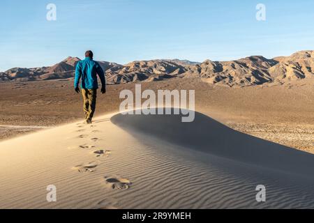 A hiker person man hiking on a sand dune leaving a track as he goes with a ridgeline clearly visible, wind blowing fresh sand across the path, Eureka Stock Photo