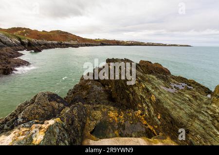 Anglesey North Coastal Path, Wales. Autumn or fall Bull Bay in distance, landscape, wide angle Stock Photo