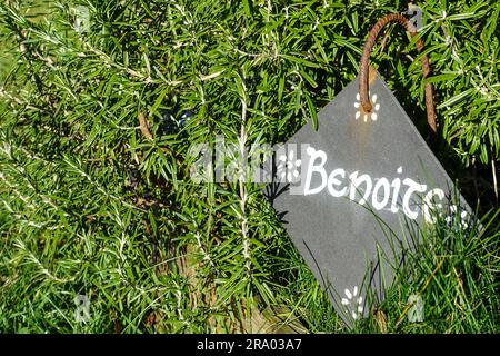 Benoite (geum) name marked on a slate in a garden in France Stock Photo