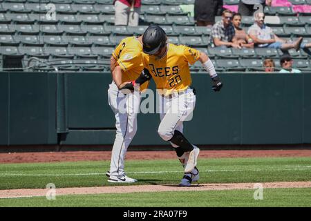 Salt Lake UT, USA. 25th June, 2023. Salt Lake first baseman Trey Cabbage (20) hits a homer during the game with Sugar Land Space Cowboys and Salt Lake Bees held at Smiths Field in Salt Lake Ut. David Seelig/Cal Sport Medi. Credit: csm/Alamy Live News Stock Photo