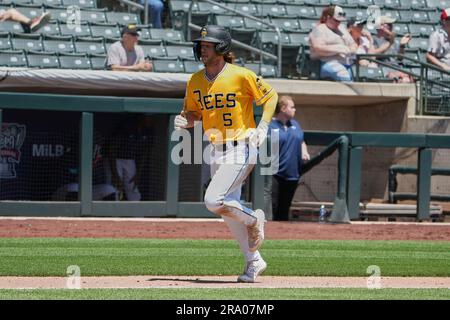 Salt Lake UT, USA. 25th June, 2023. Salt Lake right fielder Brett Phillips (5) scores a run during the game with Sugar Land Space Cowboys and Salt Lake Bees held at Smiths Field in Salt Lake Ut. David Seelig/Cal Sport Medi. Credit: csm/Alamy Live News Stock Photo