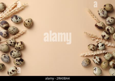 Many speckled quail eggs and decorative ears of wheat on beige background, flat lay. Space for text Stock Photo