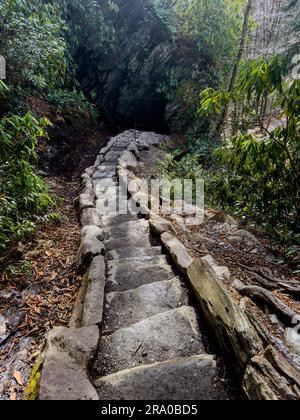 A set of metal steps or stairs down to the water and