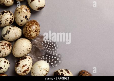 Speckled quail eggs and feathers on light grey background, flat lay. Space for text Stock Photo